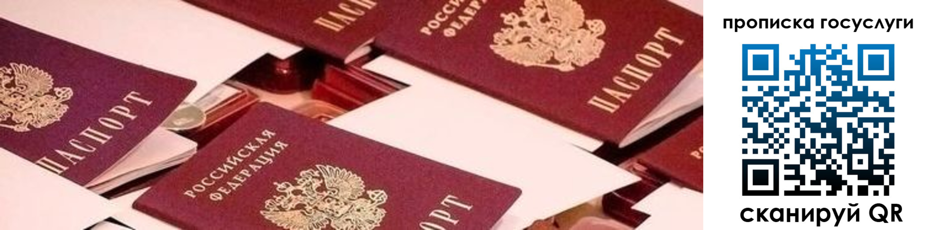 регистрация в Балтийске